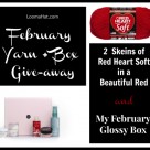 Yarn Giveaway February 2014