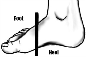 Foot 